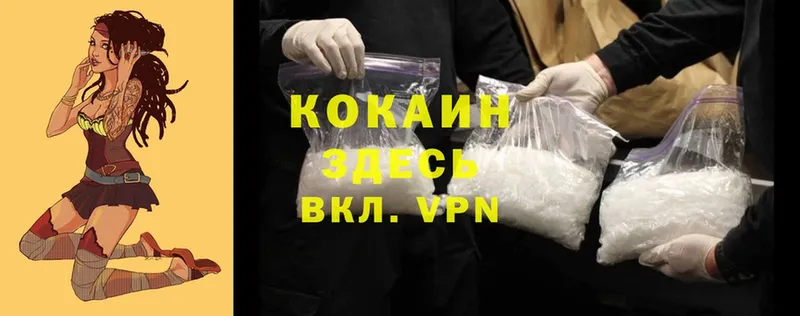 Cocaine Перу  купить закладку  Соль-Илецк 